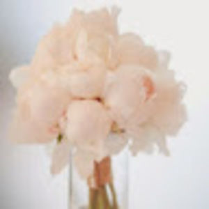 Meet your Posher, Kelsi